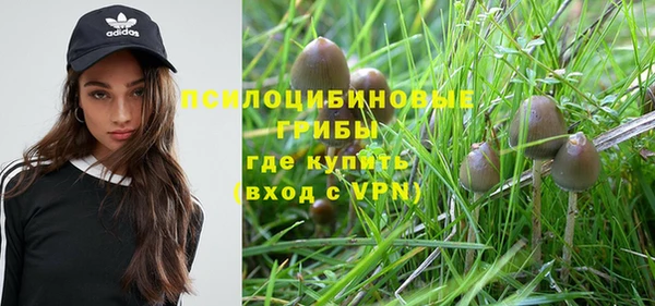 бутират Богданович